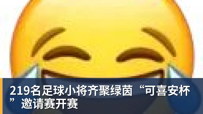 219名足球小将齐聚绿茵“可喜安杯”邀请赛开赛